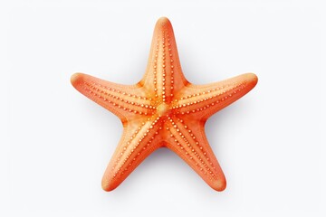 Fototapeta na wymiar A starfish is displayed on a clean white surface. Versatile for various uses
