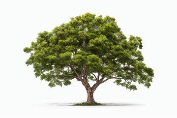 A tree with vibrant green leaves against a clean white background. Perfect for adding a touch of nature to any design or project