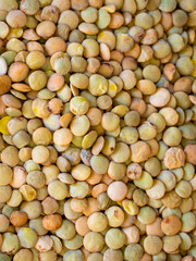 A pile of green lentils 