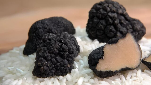 Panorama of a black truffle cut into slices lying on a pile of rice close-up. High quality 4k footage