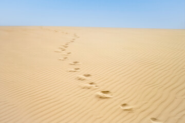Desert walk: footprints in sand of Viana desert to the horizon in Boa Vista island , Cape Verde. 