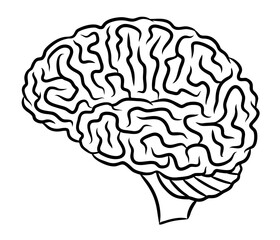 Human brain illustration