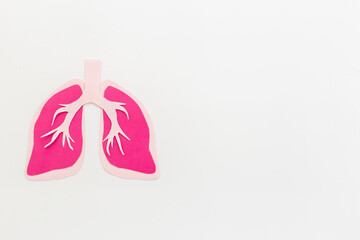 Human organ - lungs model made of paper, top view. Human health and medical concept