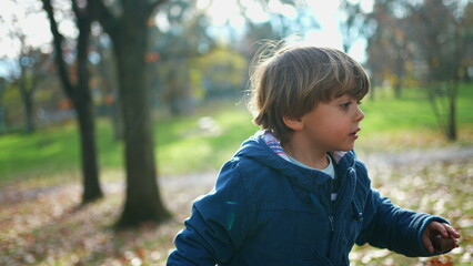 Child strolling at park during sunny autumn day. one 3 year old boy wearing blue jacket amidst...