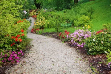 Fototapeten Azalee Azaleas in botanical garden in Poland  © Tupungato