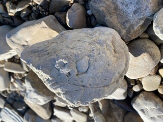 stones on the beach - 722982346