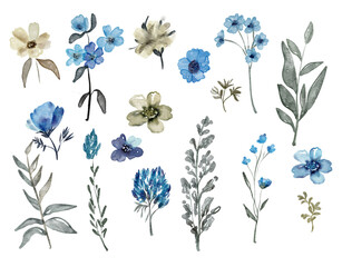 Watercolor floral set. Collection of yellow transparent rose, leaves and branches. Hand painted isolated design elements. Botanical illustration for summer wedding design, greeting cards