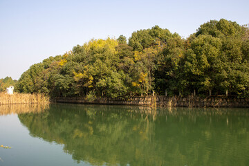 Beautiful view of Bacheng Ecological Wetland Park during autumn session