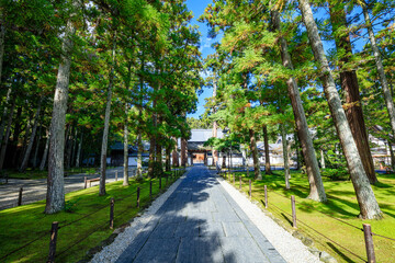 初秋の瑞巌寺　宮城県松島町　Zuiganji Temple in early autumn. Miyagi Pref, Matsushima town.