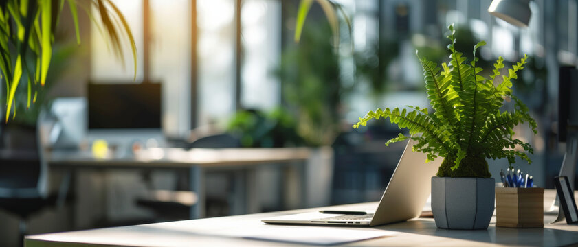 Modern workspace bathed in sunlight with a lush fern beside a sleek laptop