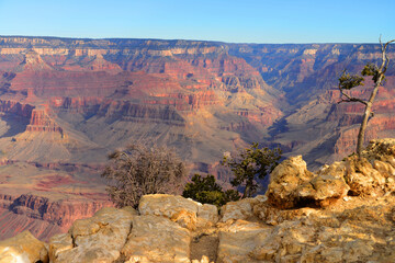 Blue Sky Day At The Grand Canyon Arizona