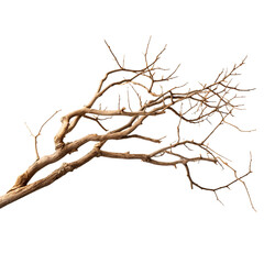 Dry branche clip art