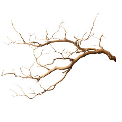 Dry branche clip art