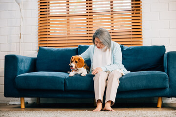 In their pension years, a woman and her Beagle puppy find solace in the living room. Their smiles...