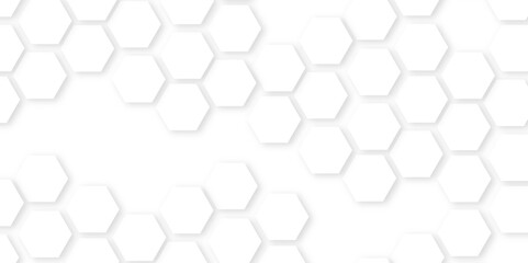 Realistic geometric mesh cells texture.Background with hexagons Abstract background with hexagons.honeycomb white Background,geometric mesh cell texture.