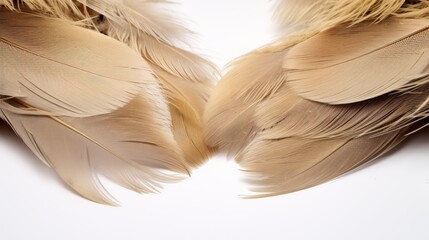 close-up view of soft brown feathers pattern against a white background.