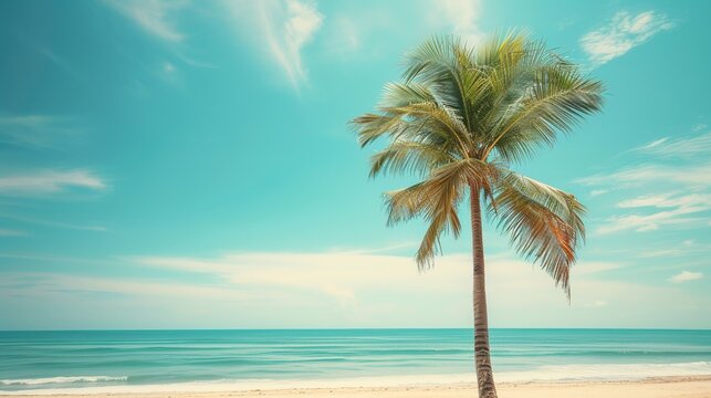 Abstract background of white clouds and blue sky with palm tree on tropical beach.
