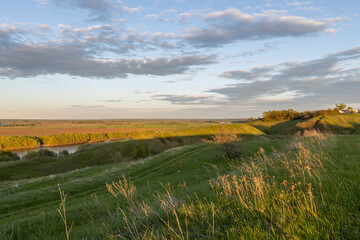 Fototapeta premium landscape with green grass in the countryside, blue evening sky with clouds over the horizon.