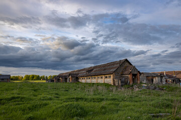 An old abandoned cowshed against the backdrop of a spring evening landscape with clouds and green grass