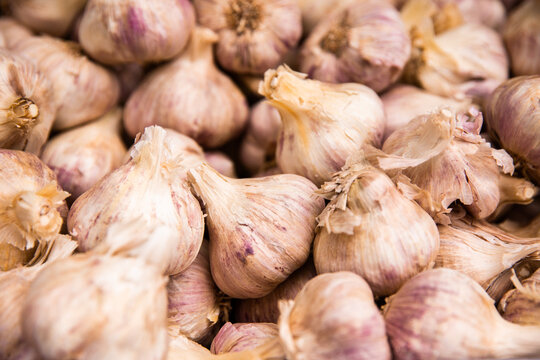 close up of bulbs of garlic for sale at the markets