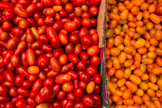 hundreds of tomatoes for sale at the markets