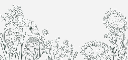 Sunflowers and wild flowers. Sketch in lines, freehand drawing. Vector illustration, summer background, flower meadow.