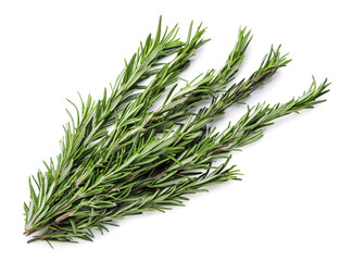 Fresh rosemary close-up on a white background. Top view