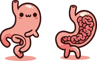 胃と腸