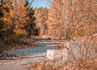 street in the abandoned city of Chernobyl