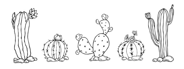 A set of sketches and doodles of blooming cacti. Vector graphics.