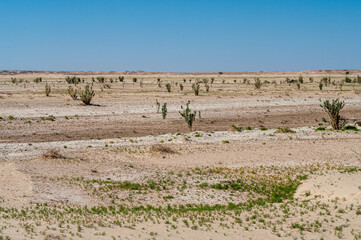 Landscape in Wadi Aydam, Oman