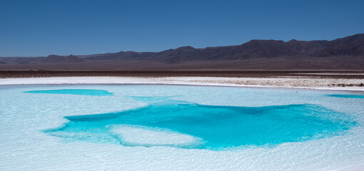 Hidden lagoon Baltinache , Lagunas escondidas Baltinache in Atacama Desert, Chile