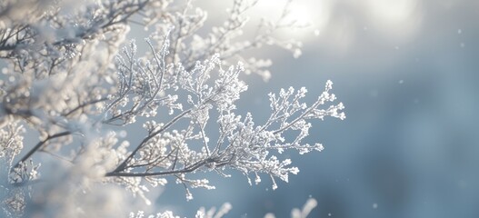 An up-close view of a frosted branch in the midst of a winter forest.