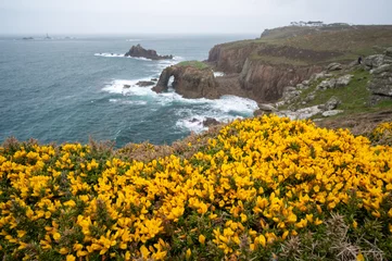 Fotobehang Enys Dodnan Arch with rough seas during a storm at Land's End in Celtic Sea, Penzance, Cornwall. Bright yellow gorse flowers by the Cornwall's rugged north coast. © Alisa