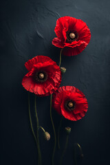 Red poppies on black background. Remembrance Day, Anzac day, Armistice Day