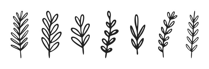Set of hand drawn outlined plant branches vectors