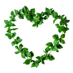 Fototapeta premium A heart shape made of fresh green clover leaves on a white background, earth day and ecology concept