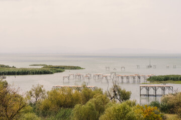 View of wild waterfowl in Lake Manyas in Manyas Nature Park.