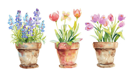 Watercolor painting of pink and yellow spring flowers in terracotta pots.