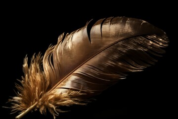 Airy tender golden feather float. Ethereal liberation angelic faith gold plume. Generate ai
