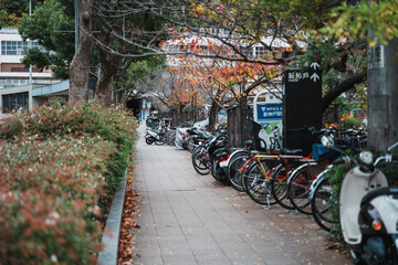 駐輪場の自転車