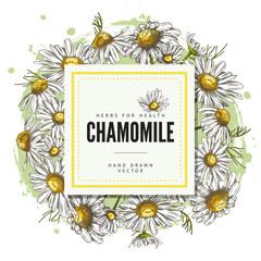 Hand drawn chamomile flowers round frame with square text space.