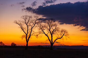 Fototapeta na wymiar Two trees with cloudy sky on background. Sunset with dramatic black, grey, orange and red colors. Hillsborough Township, NJ