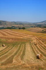 Country landscape near Tricarico and Grottole, Basilicata, Italy