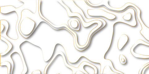 Abstract white background with golden gradient Topographic line map and shadows . Contour elevation topographic and textured Background Modern design White background with topographic wavy pattern.