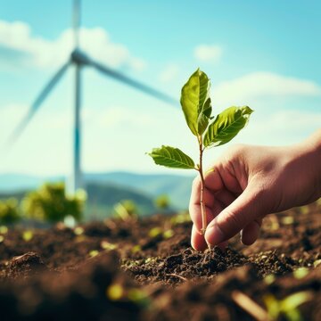A detailed image of a hand planting a tree sapling, representing green energy, with a wind turbine in the distant background The focus is on the hand and the sapling, showing a connection betwe