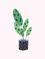 Vector illustration of a home plant in a pot with an ornament. Cartoon hand drawn style. Isolated elements.