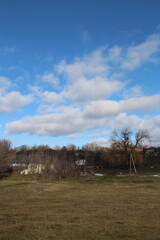 A field with trees and houses