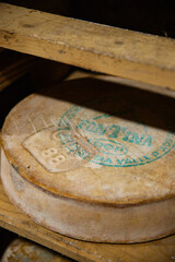 cheese  cellar appetizer meal food snack on the table copy space food background rustic top view