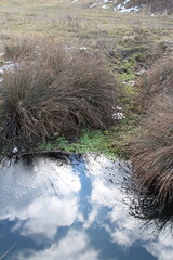 A stream of water with grass and plants on the side